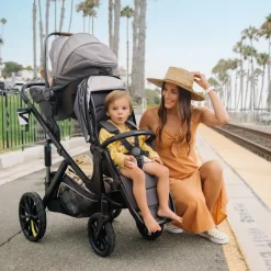 Switchback Infant Car Seat Adapter