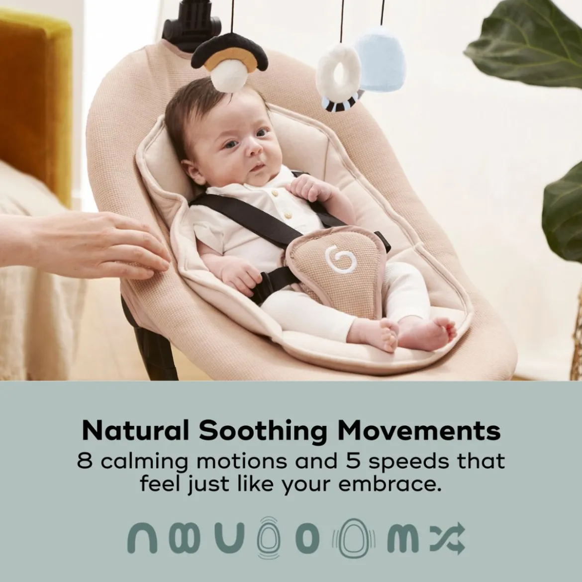 Swoon Evolution Connected Swing