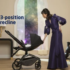 Tana 360 Rotating Modular Stroller