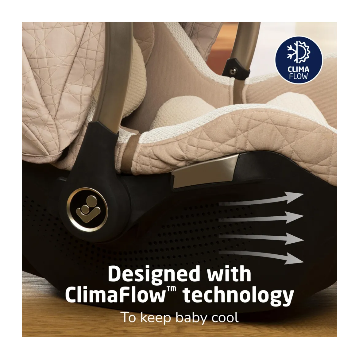 Tana 360 Rotating Travel System