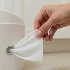 The 3-in-1 Potty