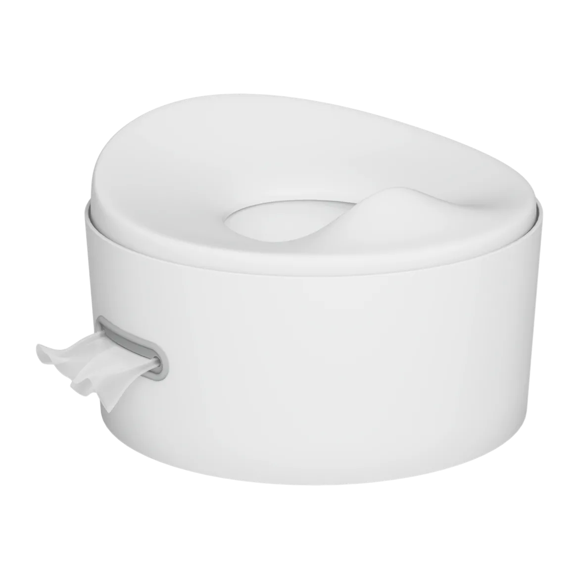 The 3-in-1 Potty