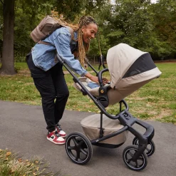 The Journey Stroller