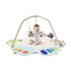 The Play Gym