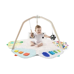 The Play Gym
