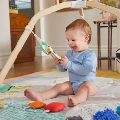 The Play Gym