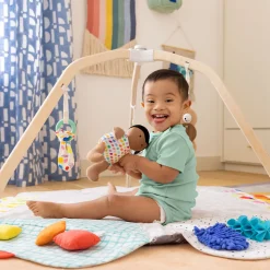 The Play Gym