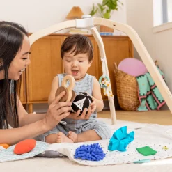 The Play Gym