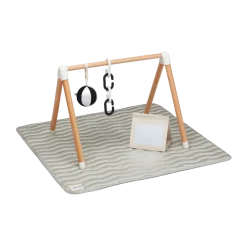 The Play Gym