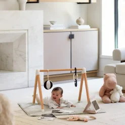 The Play Gym
