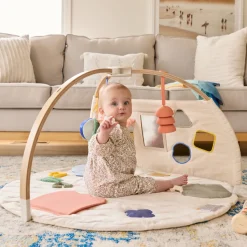 The Play Gym II