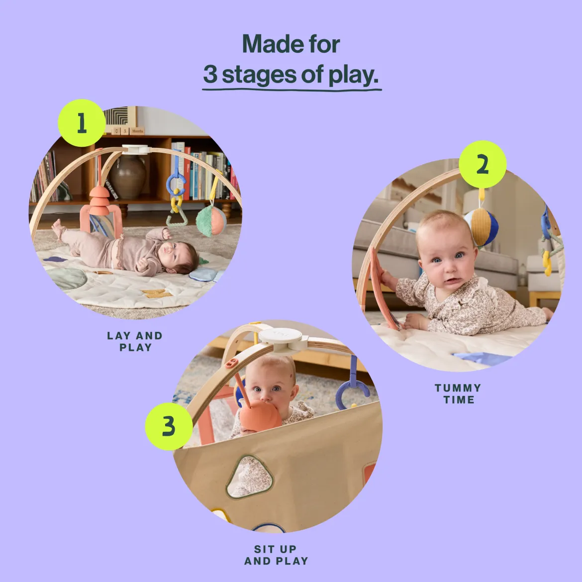 The Play Gym II