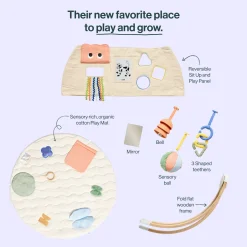 The Play Gym II