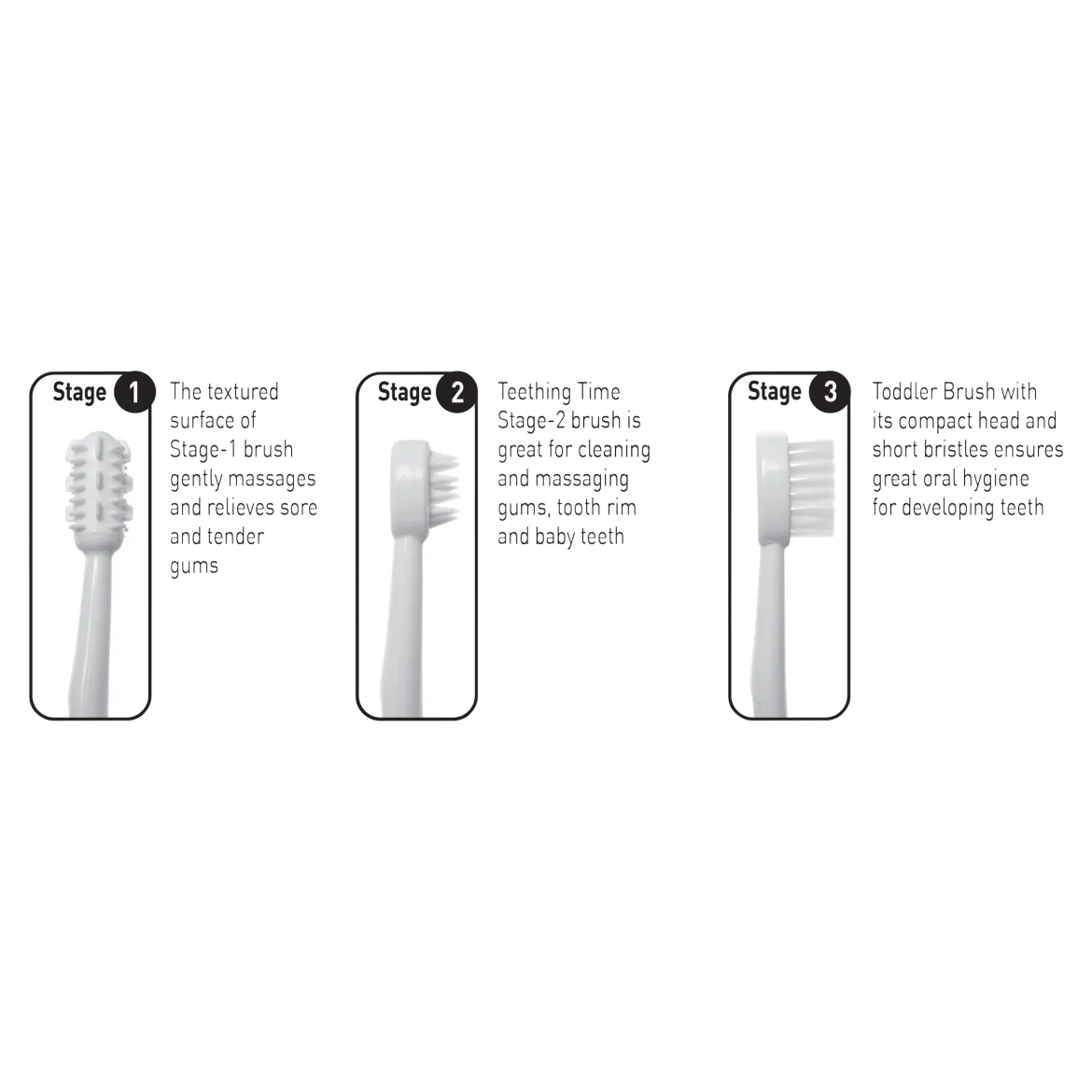 Three Stage Toothbrush Set