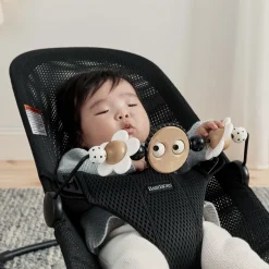 Toy for Bouncer