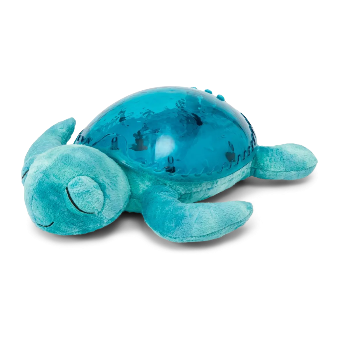 Tranquil Turtle