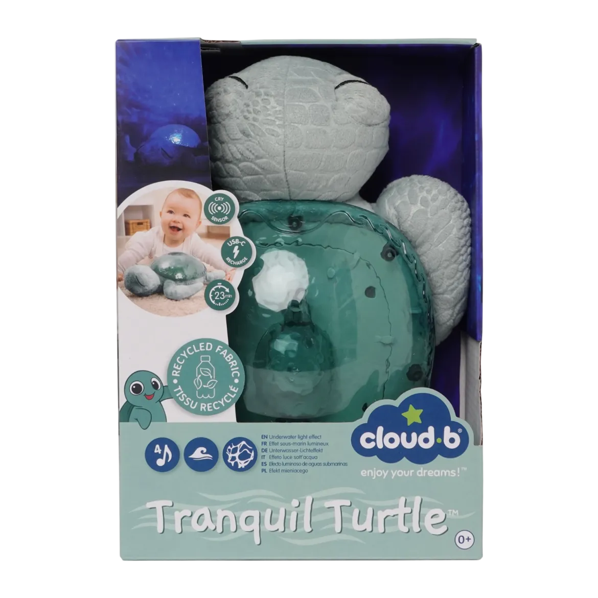 Tranquil Turtle