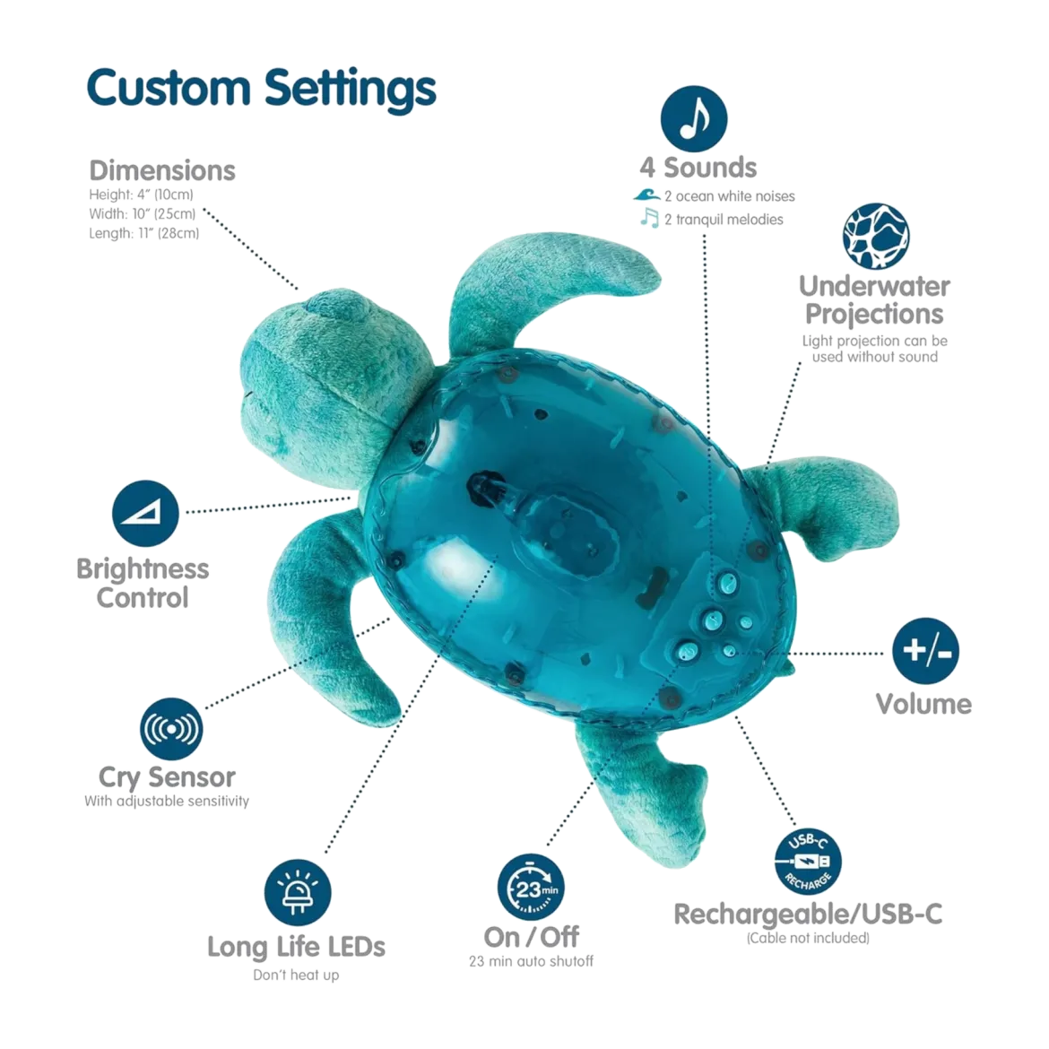 Tranquil Turtle