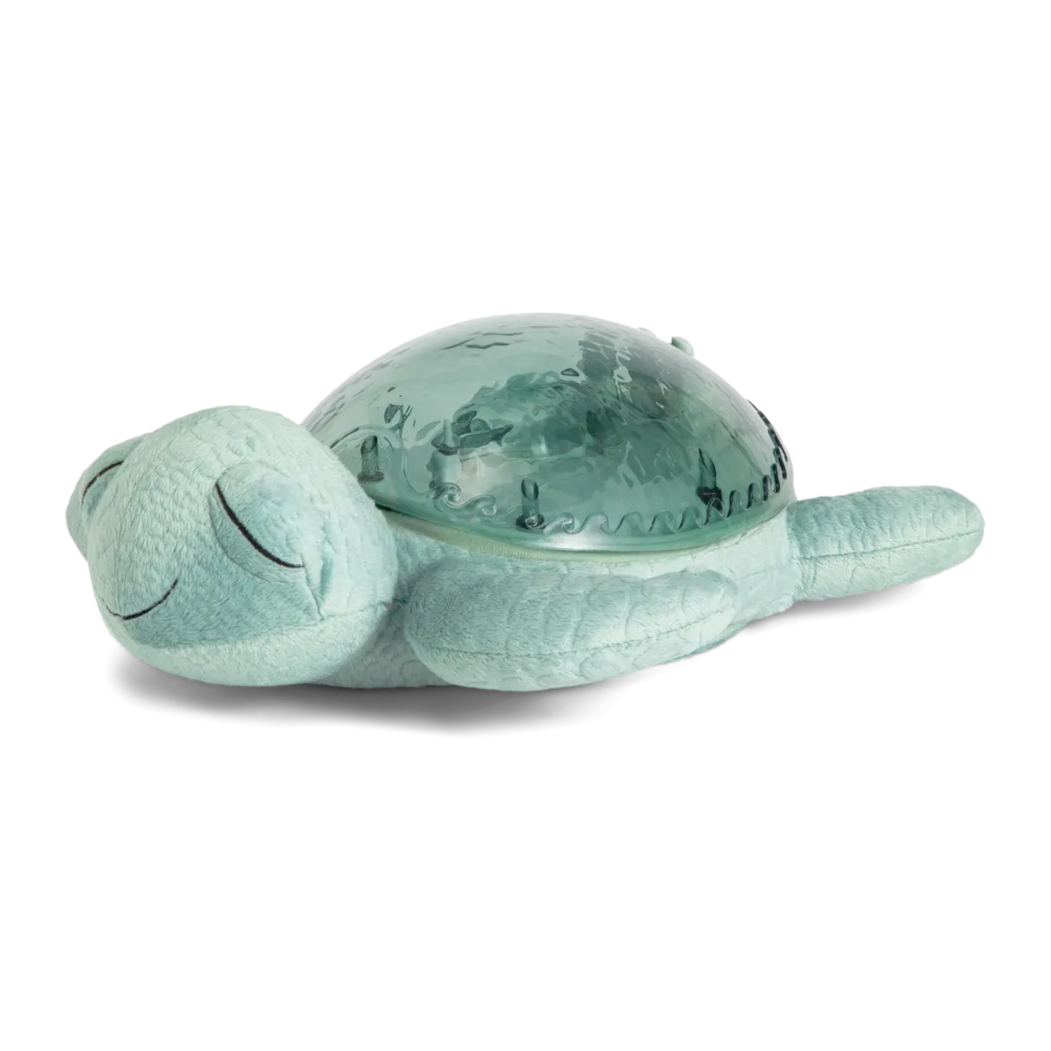 Tranquil Turtle