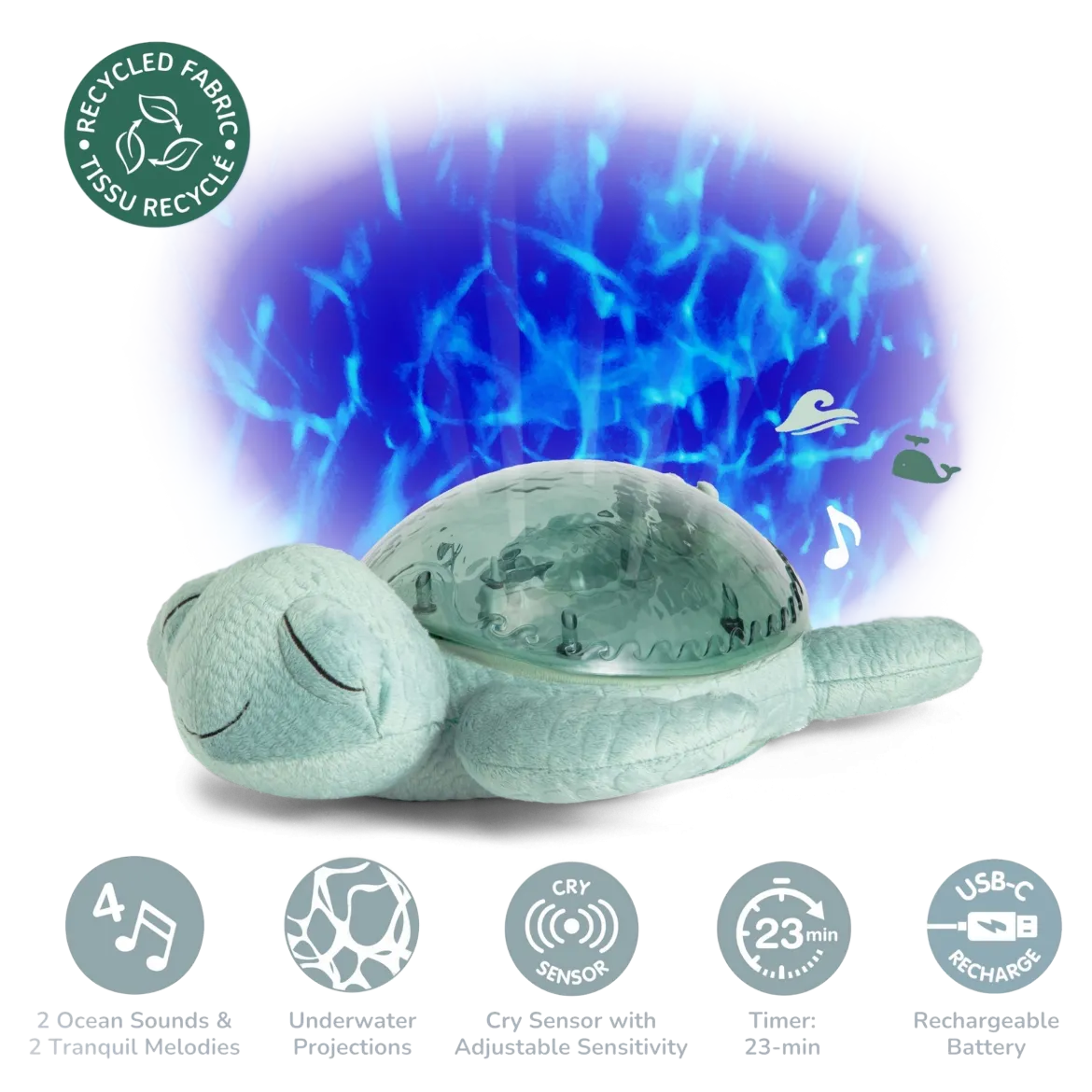 Tranquil Turtle