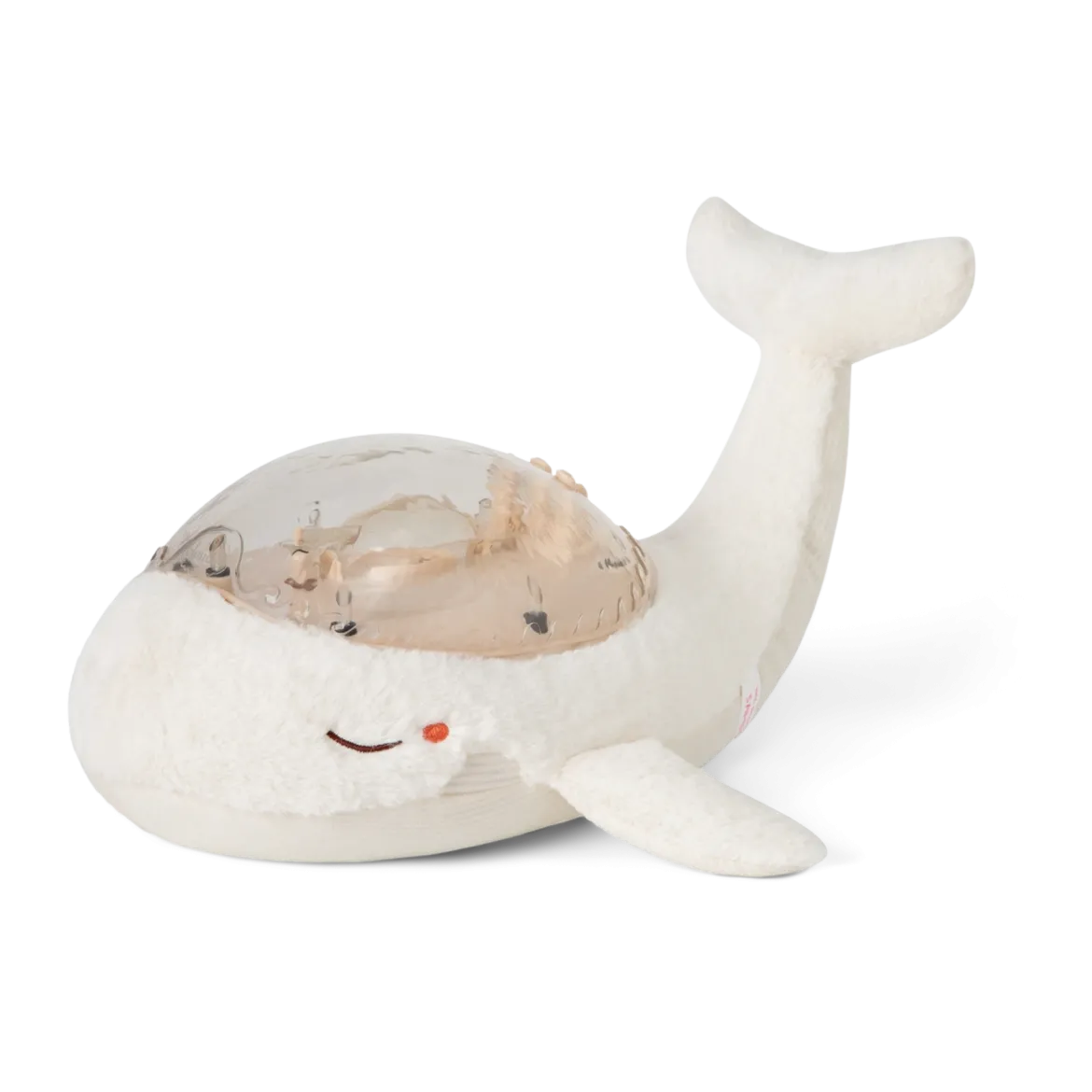 Tranquil Whale