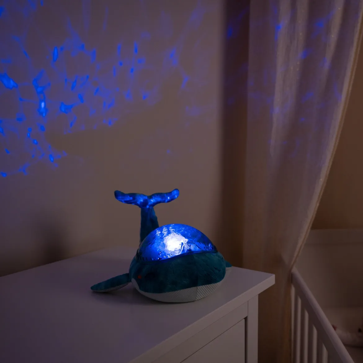 Tranquil Whale