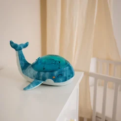 Tranquil Whale