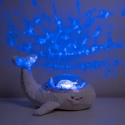 Tranquil Whale