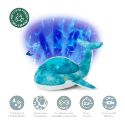 Tranquil Whale
