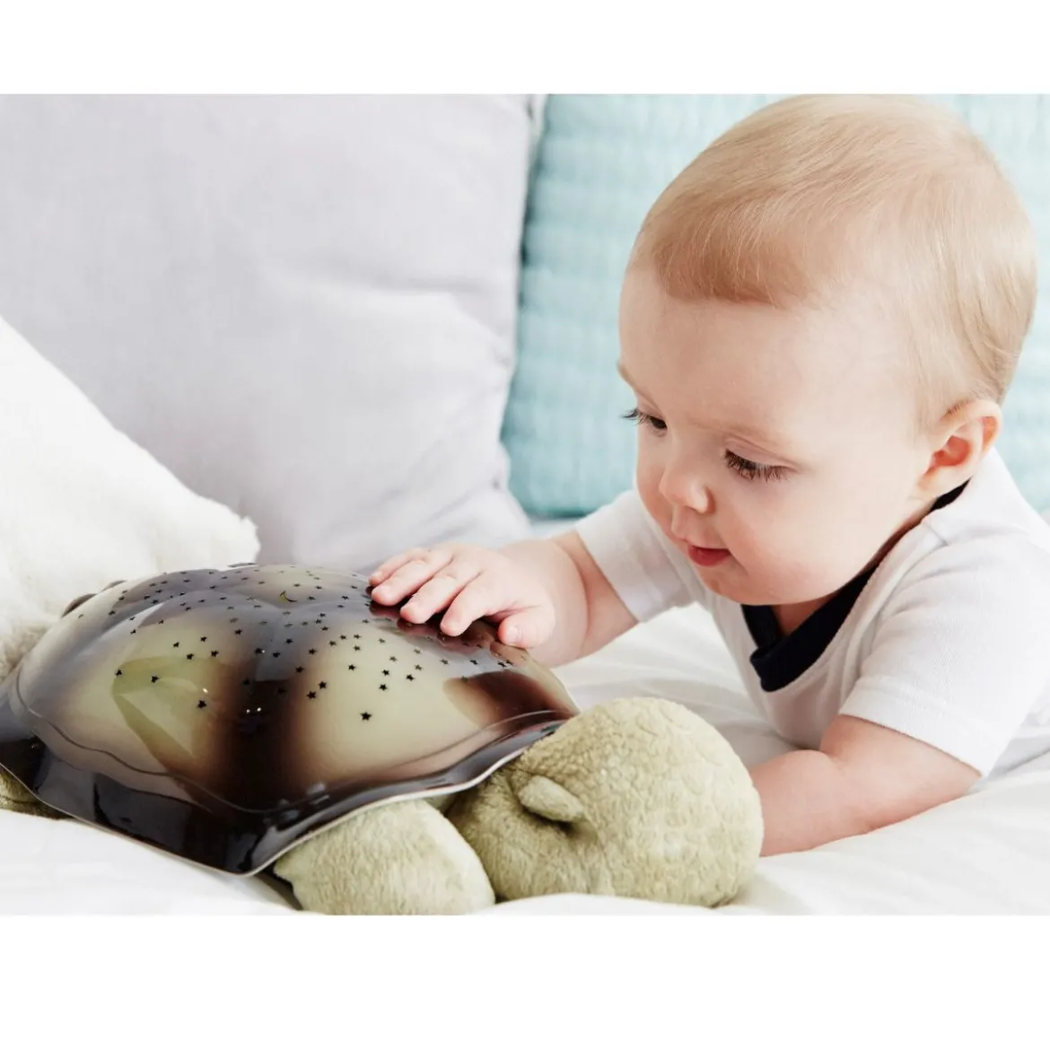 Twilight Turtle Constellation Night Light