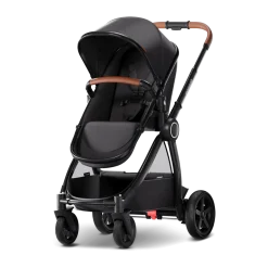 Ultimate 2 Seat Stroller