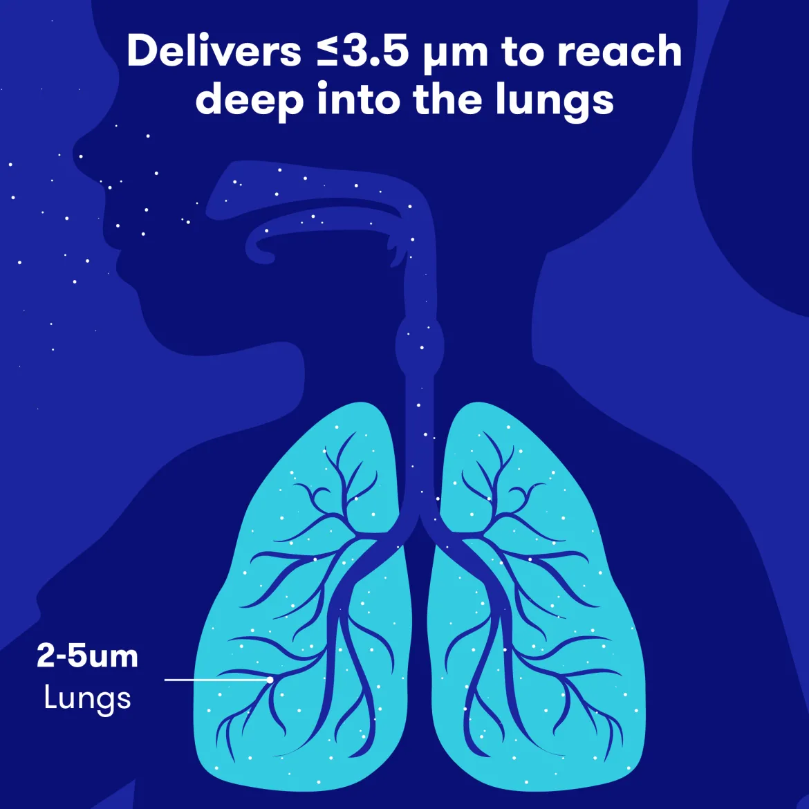 Ultra-Quiet Portable Nebulizer