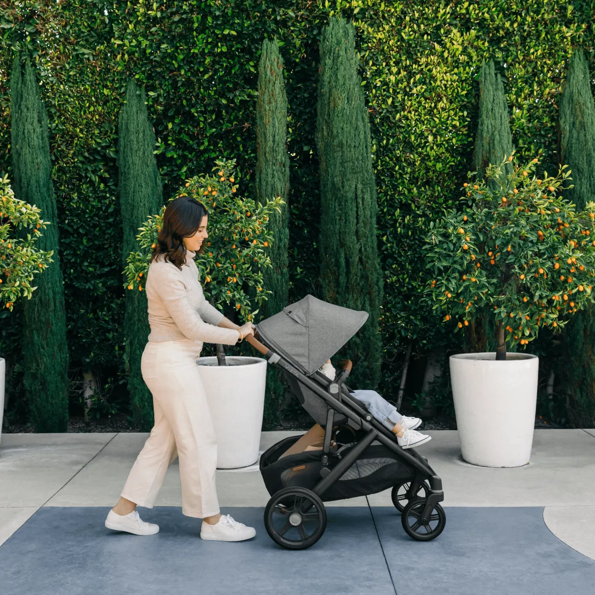Vista V3 Stroller