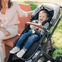 Vista V3 Stroller