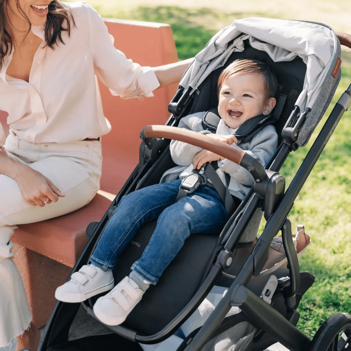 Vista V3 Stroller